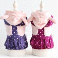 Petstyle autumn and winter new dot pocket bear dress pet clothes dog clothing