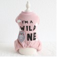 Petstyle autumn and winter new bear letters four-legged clothes pet clothes dog clothing