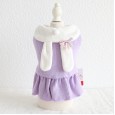 Petstyle autumn and winter new sweet rabbit wool skirt pet clothes dog clothing