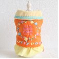 Autumn and winter clothing color garden cotton skirt thick warm pet clothes dog clothing