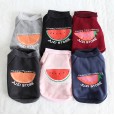 Petstyle autumn and winter new fruit multicolor sweater pet clothes dog clothing
