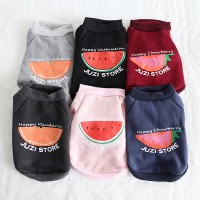 Petstyle autumn and winter new fruit multicolor sweater pet clothes dog clothing
