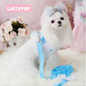 Lollypop Lollipop Fluorescent Chest Strap Dog Protective Leash Cord Vest