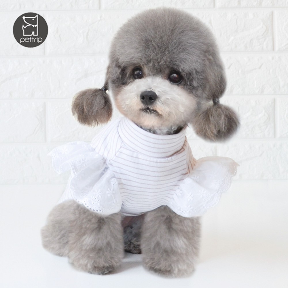 Dog clothes new spring and summer dog clothes pet clothes small dog clothes dog base coat puppy clothes four seasons