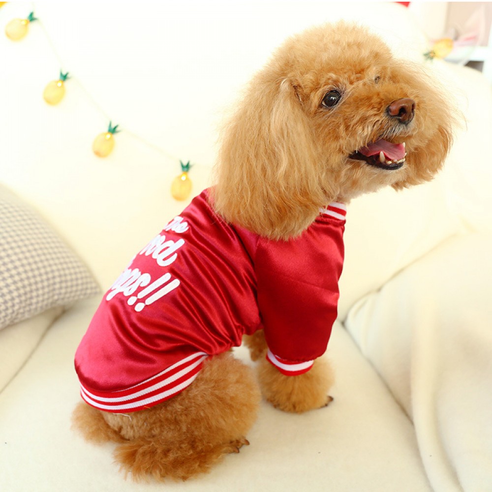 Pet dog cat clothes burgundy English alphabet cotton coat thick section warm jacket teddy bear bear dog clothing