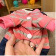 Teddy spring and summer new suspenders four-legged cute couple pet dog puppies handsome croak romper