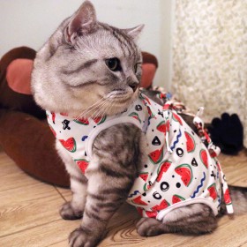 Cat sterilization clothes cat female cat surgical clothes weaning thin section anti-hair loss post-operation anti-bite anti-physiological clothing