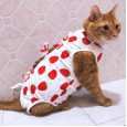 Cat sterilization clothes cat female cat surgical clothes weaning thin section anti-hair loss post-operation anti-bite anti-physiological clothing