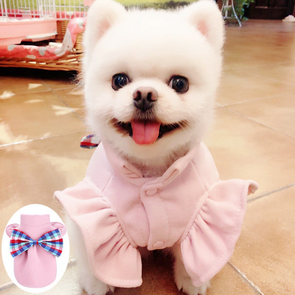 Dog clothes cute princess Yorkshire skirt teddy clothes pet clothing autumn and winter thickening new explosion models