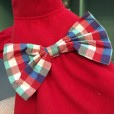 Dog clothes cute princess Yorkshire skirt teddy clothes pet clothing autumn and winter thickening new explosion models