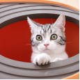 Alice snail house cat litter box extra large cat toilet cat shit basin IRIS Alice fully enclosed top entry type
