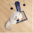 Small cat tree cat cat climbing frame grinding claw cat toy cat litter cat scratching post cat cat cat scratching board cat jumping platform