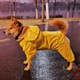 Golden retriever hooded raincoat dog Samoyed medium-sized large dog-side animal husbandry poncho all-inclusive four-foot pet big dog clothes