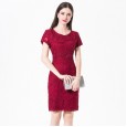 Women's autumn new brand large size clothing middle and old dress long sleeves