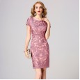 Women's autumn new brand large size clothing middle and old dress long sleeves