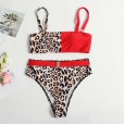 New bikini leopard print color swimsuit women