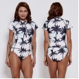 Sexy Siamese female swimsuit hot spring surfing suit diving short sleeve swimsuit 9541