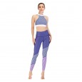 Fitness wear running print suit yoga suit tights barbie pants sports bra 044