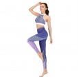 Fitness wear running print suit yoga suit tights barbie pants sports bra 044