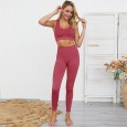 ! Hot-selling new seamless knitted buttocks yoga suit sports fitness suit vest suit female