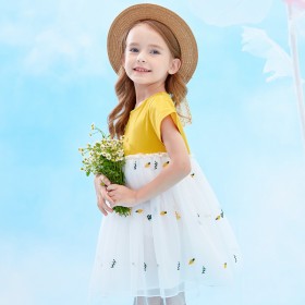 Summer new carrot embroidered mesh yarn girl dress children's clothing puffy mesh yarn princess dress